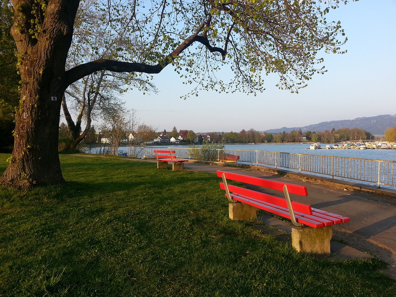 信任依然需 信任依然需