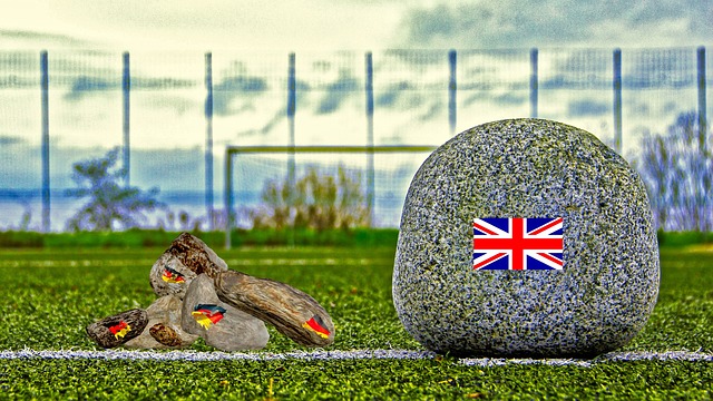 就是黄蜂近 就是黄蜂近