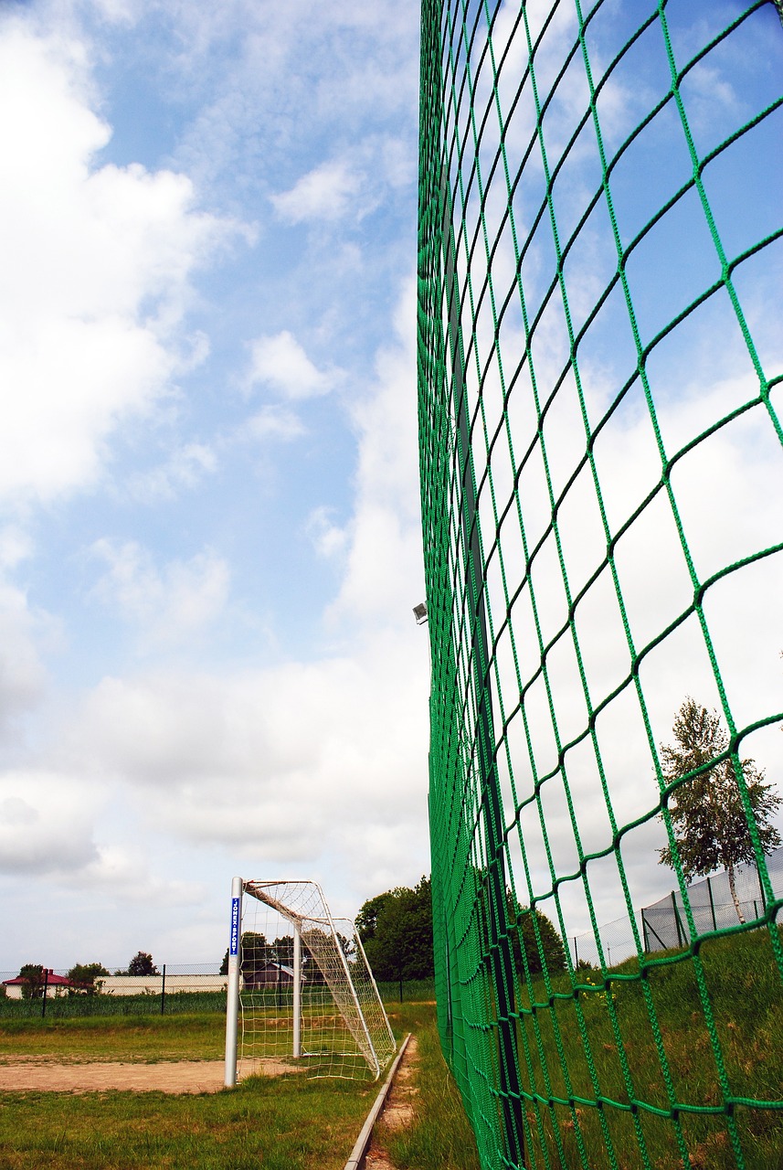 不仅仅数字 不仅仅数字